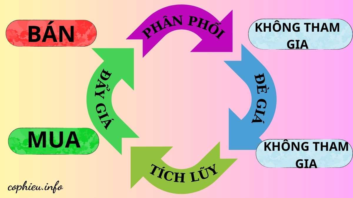 bốn giai đoạn trong chu kỳ chứng khoán - tích lũy - đẩy giá - phân phối - đè giá