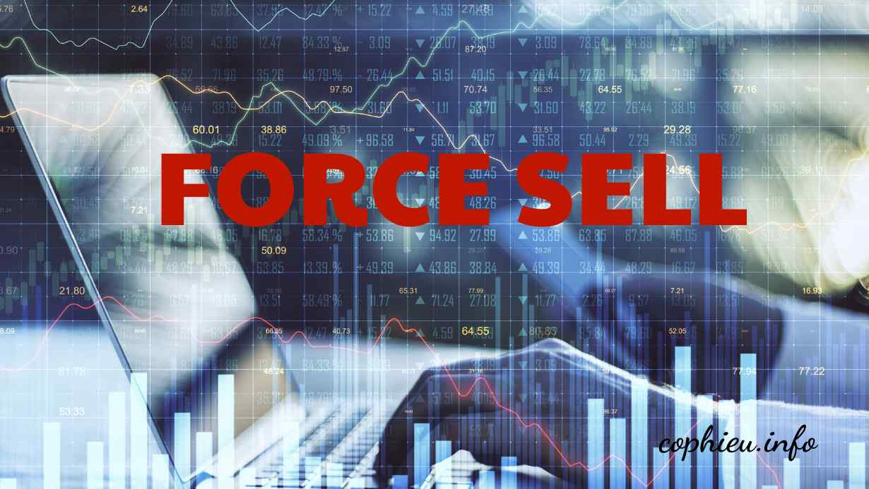 force sell là gì? - chứng khoán